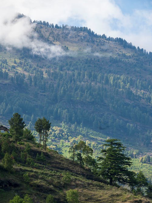 Manali